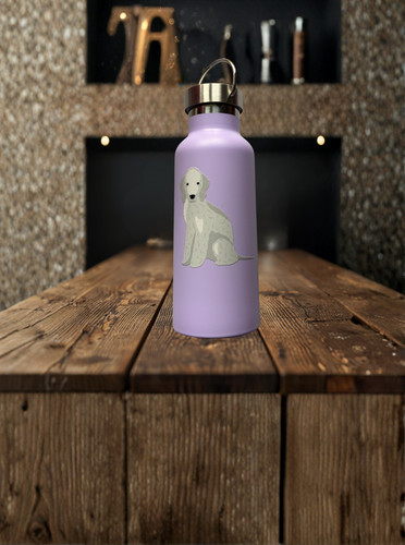Bedlington terrier drinks - terrier,