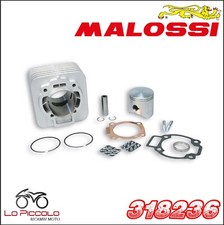 318236 CYLINDER MALOSSI 172CC