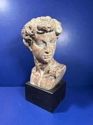 Vtg bust david - vtg,