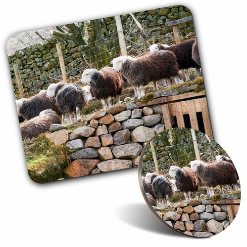 Mouse mat coaster - coaster,