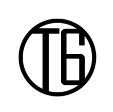 LARGE PAIR T6 sticker/decal