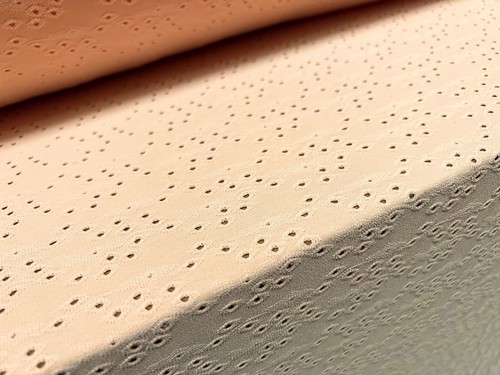 Broderie anglaise stretch - anglaise,