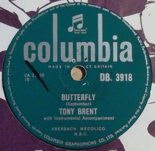 Tony brent butterfly - butterfly, how