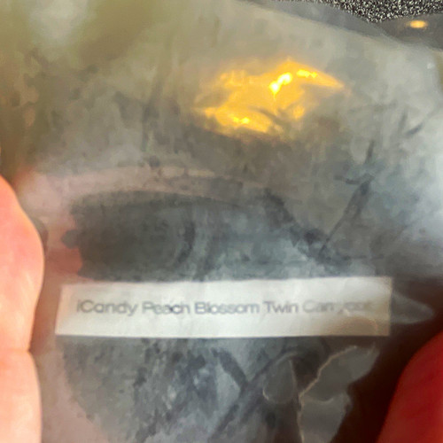 Icandy peach blossom twin - peach,