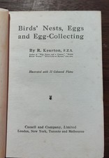 Birds' Nests, Eggs And