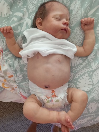 Reborn baby erica shirley - erica,