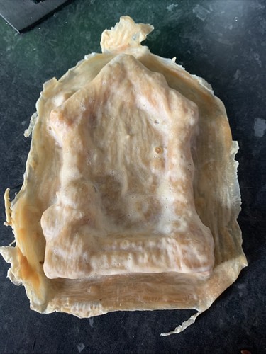 Latex rubber mould - mould, door