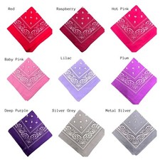 Funky Paisley Colourful