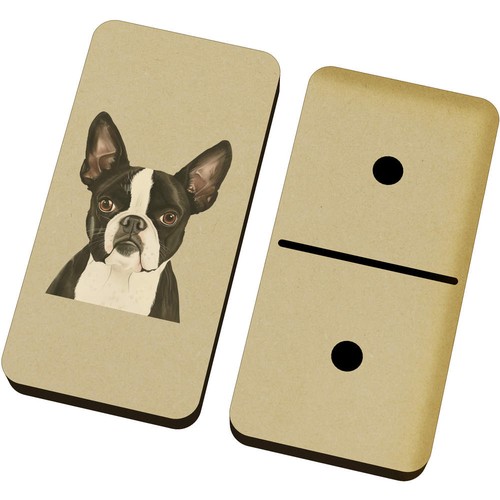 Boston terrier portrait - 'boston,