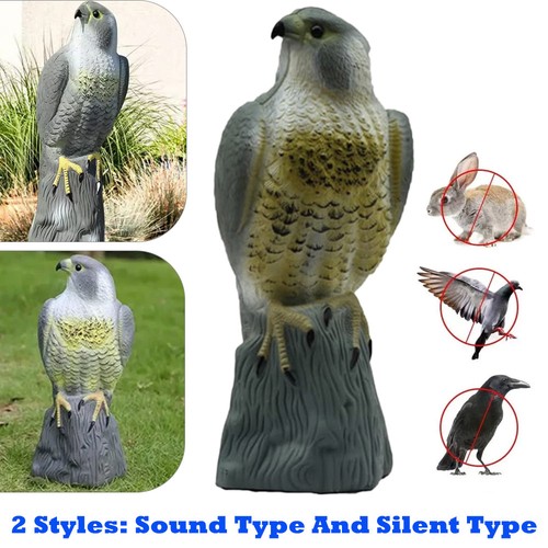 Large realistic garden hawk - large,