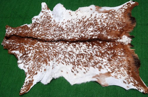 New goat hide rug - goat, on