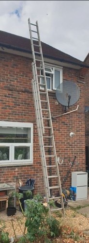 Triple ladders used - ladders,