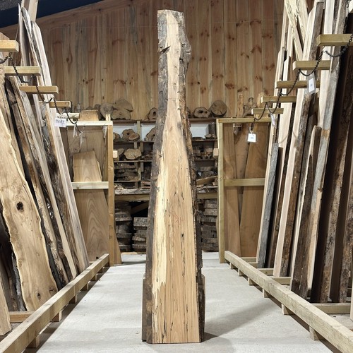 Spalted beech plank - beech, board