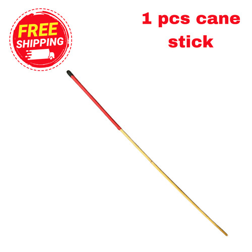 Rattan scholastic punishment - rattan,