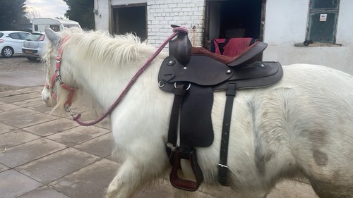 Western saddle 15inch - western,
