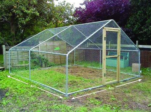 Walk chicken run - chicken,