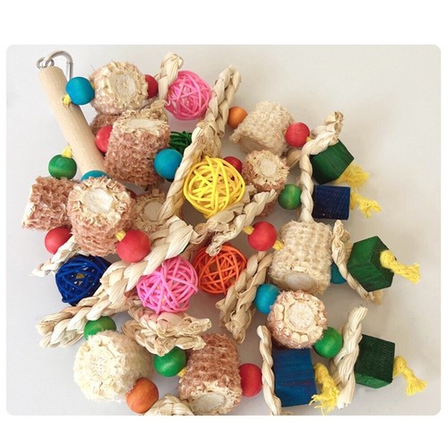 Bird cage biting - cage,