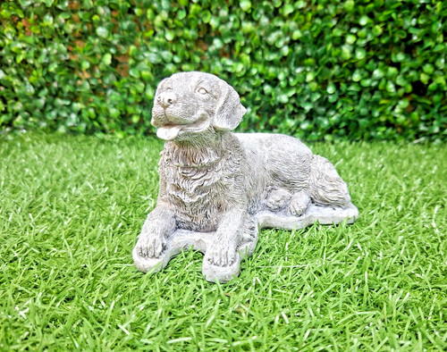 Labrador 10cm 15cm x - ,
