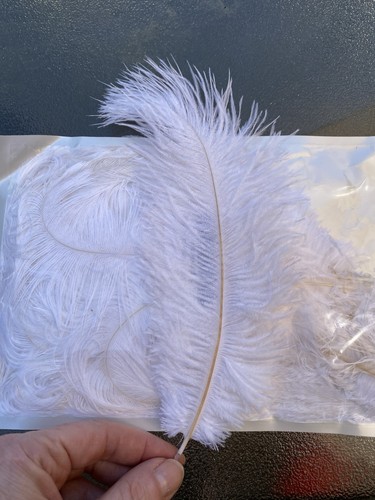 Beautiful white feathers - beautiful,