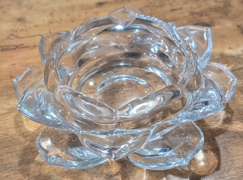 Lotus water lily - 1/2",