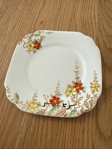 Salisbury fine bone - fine,