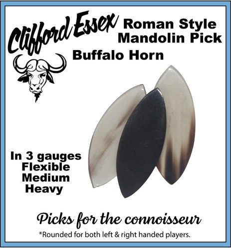 Roman mandolin pic buffalo - roman,