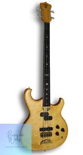 Alembic Persuader Fretless