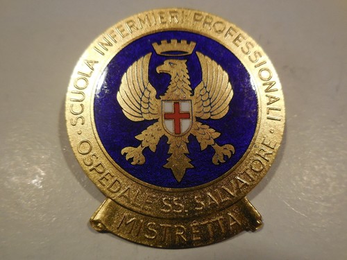 Badge nursing school profess - school,