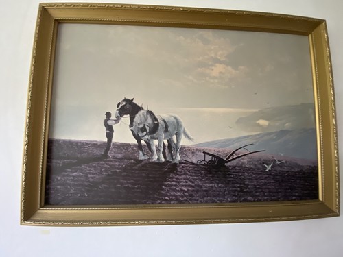 Framed print board gerald - print,
