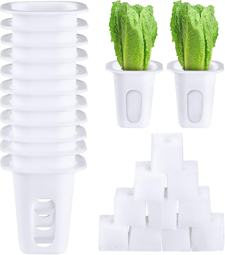 100 pcs hydroponics growing - hydroponics,