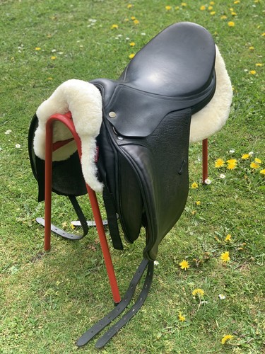 Harry dabbs jaguar dressage - dabbs,