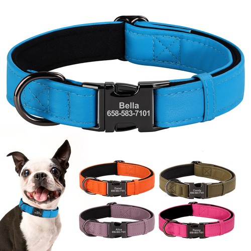 Personalised dog collars with - personalised,
