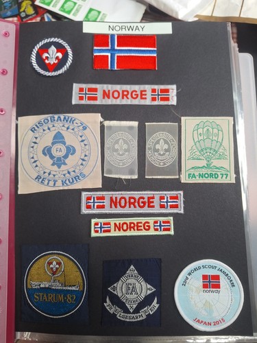Scout badges norway large - badges,