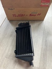 Radiator Original Suzuki TS250