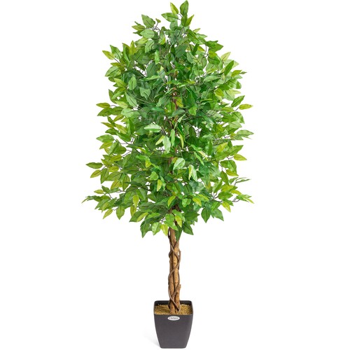 Artificial ficus tree - artificial,