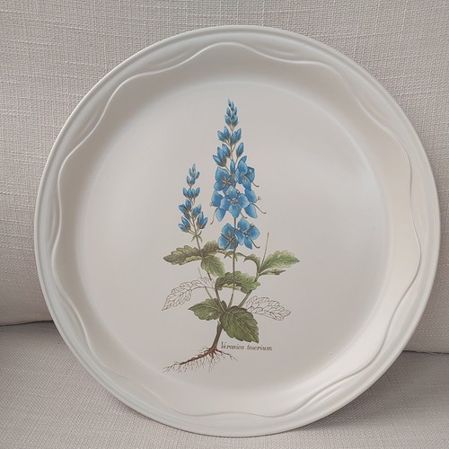 Poole country lane veronica - country,