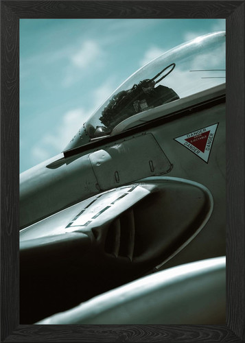 Vampire framed wall art - dh,