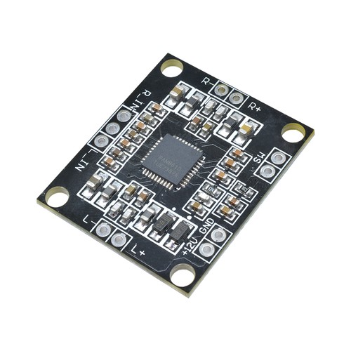 Pam8610 15w dual channel - dual,