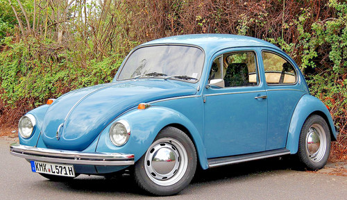 Download beetle käfer type - käfer,