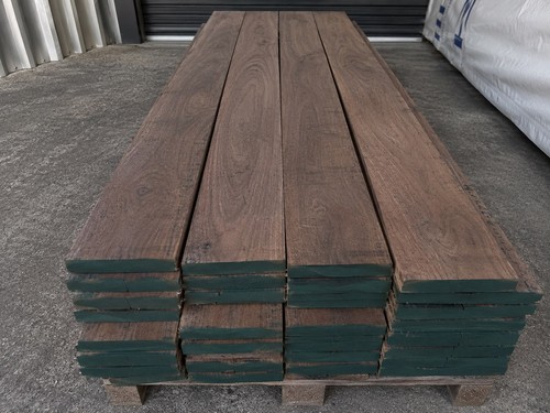 American black walnut - american,