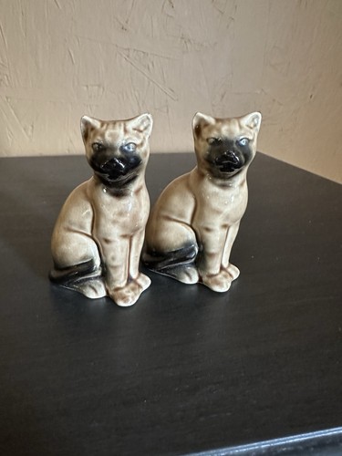 Kitschy pair siamese - siamese, cats