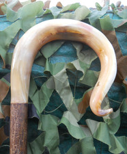 Full length shepherds