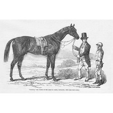 HORSE RACING Surplice Winner