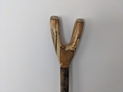 Spelted beech warking - spelted,