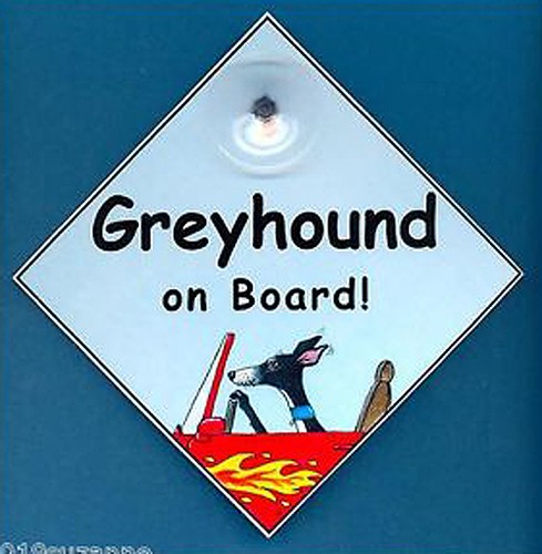 Greyhound art painting car