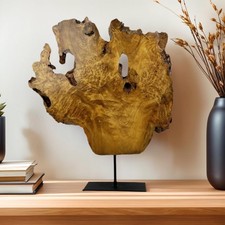 Irregular Fir Wood Root