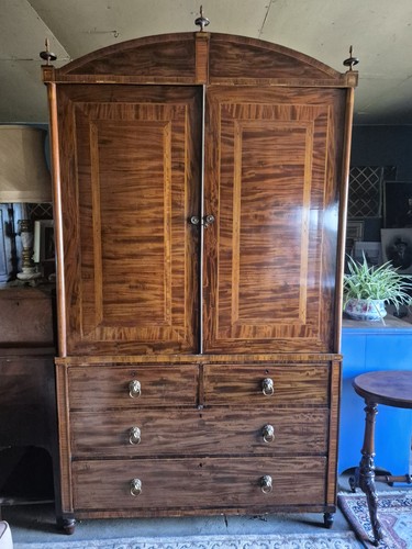 Exceptional huge dutch cuban - huge,