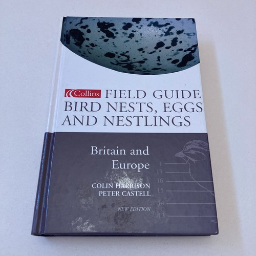 Bird nests eggs and nestlings - bird,