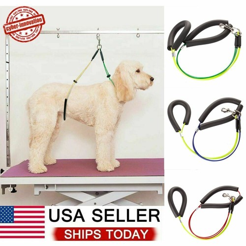 Pet dog grooming table - pet,