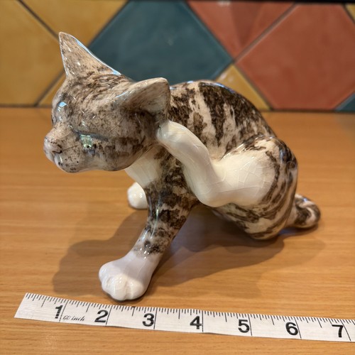 Winstanley size tabby - tabby, kitten